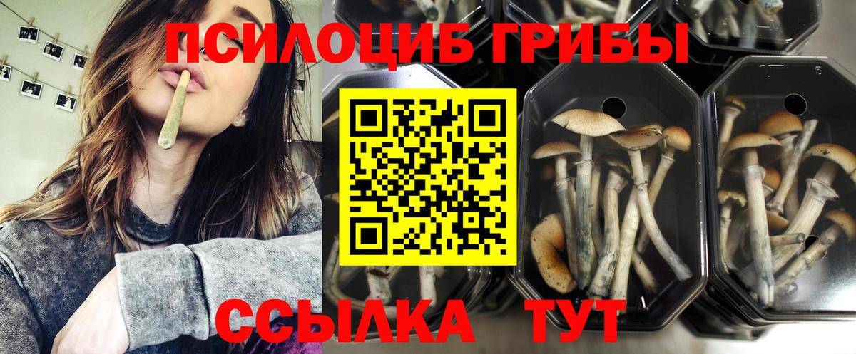 Псилоцибиновые грибы мухоморы Ливны